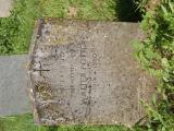 image of grave number 790407